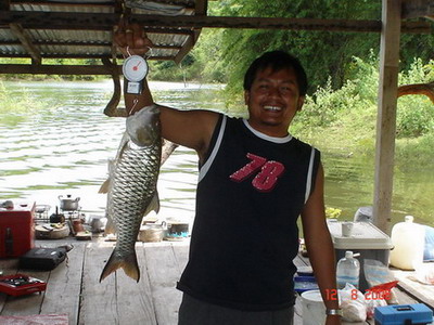 วันว่างที่ แพโชคนำเอ่อ