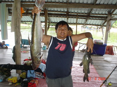 วันว่างที่ แพโชคนำเอ่อ