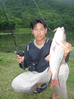 กระสูบโทนที่  องคา