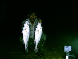 ตกปลาม้ากับสิงคะนองนา
