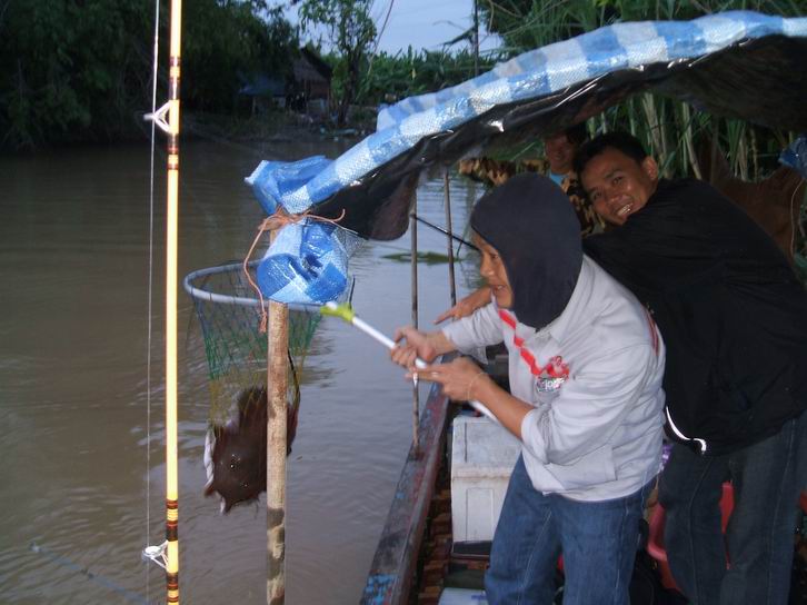 TRUE MOVE BANGPAKONG