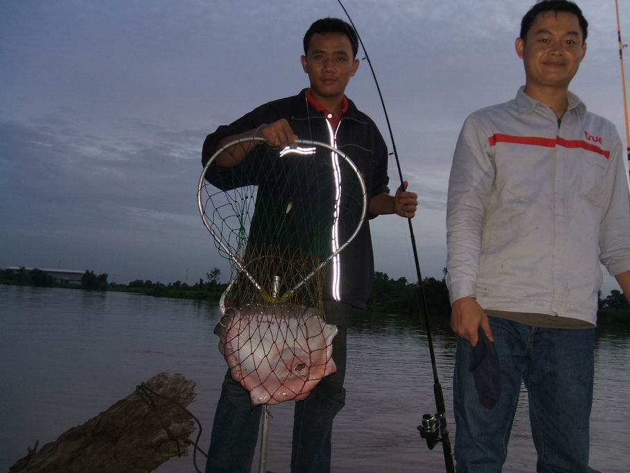 TRUE MOVE BANGPAKONG