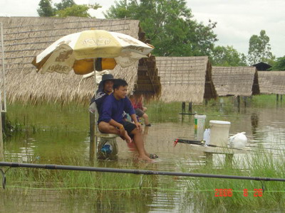 บ่อตกปลาบรรยากาศอ่างเก็บน้ำ