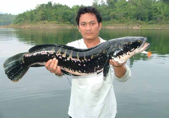 ทริปเก่าที่เมืองกาญ
