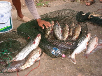 โหด-มัน-จัง ที่อ่างเก็บน้ำห้วยหลวงอุดรธานี