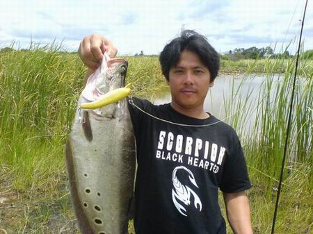 ตกชะโดหนองปลาไหลกับ noi Fishing World