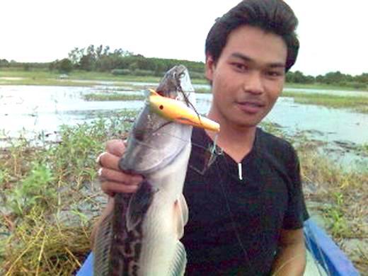 ตกชะโดหนองปลาไหลกับ noi Fishing World