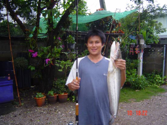 ตกปลาเค้าด้วยเหยื่อปลอม RAPALA ssr07 ALB