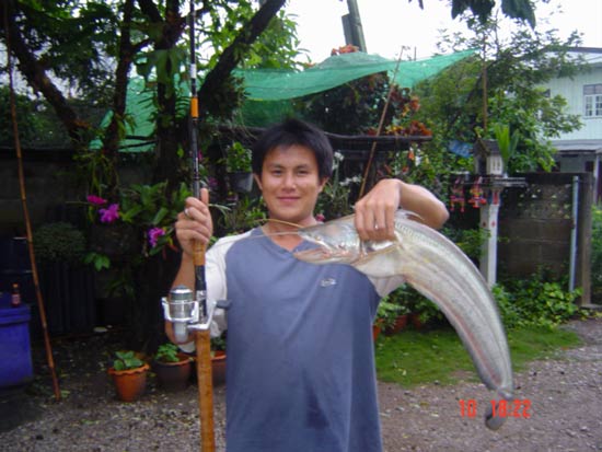 ตกปลาเค้าด้วยเหยื่อปลอม RAPALA ssr07 ALB