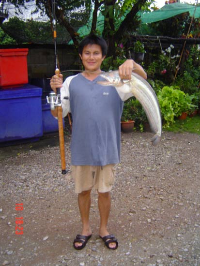 ตกปลาเค้าด้วยเหยื่อปลอม RAPALA ssr07 ALB