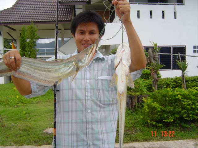 ตกปลาเค้าด้วย RAPALA2