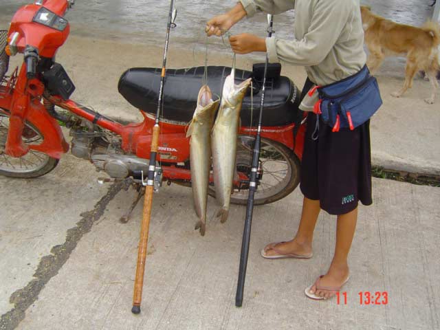 ตกปลาเค้าด้วย RAPALA2