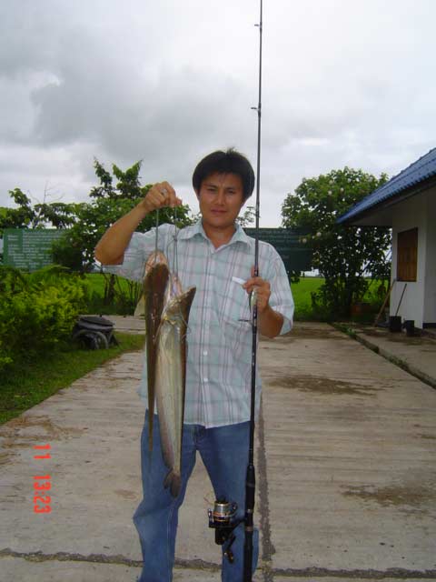 ตกปลาเค้าด้วย RAPALA2