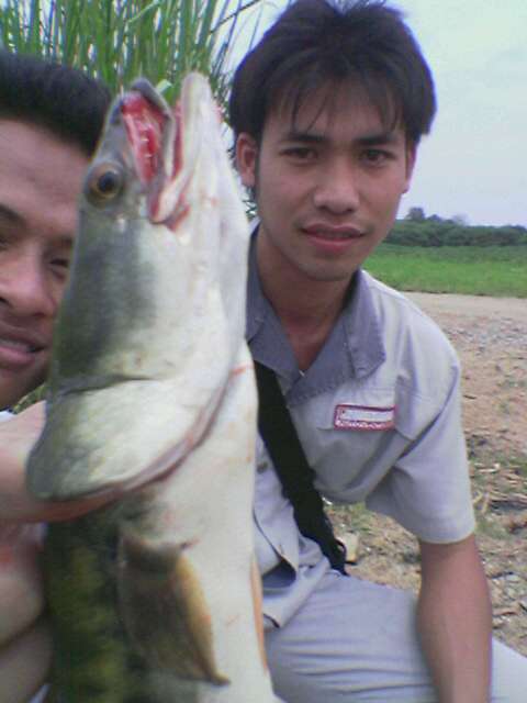 ชมรมคนผีทะเล