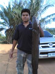 ปลาดุกยักษ์ by fishingway team