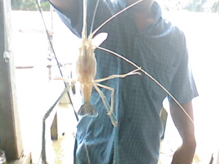 เบียร์ เย็นๆ+ลมพัดเย็นๆ+น้องกุ้ง