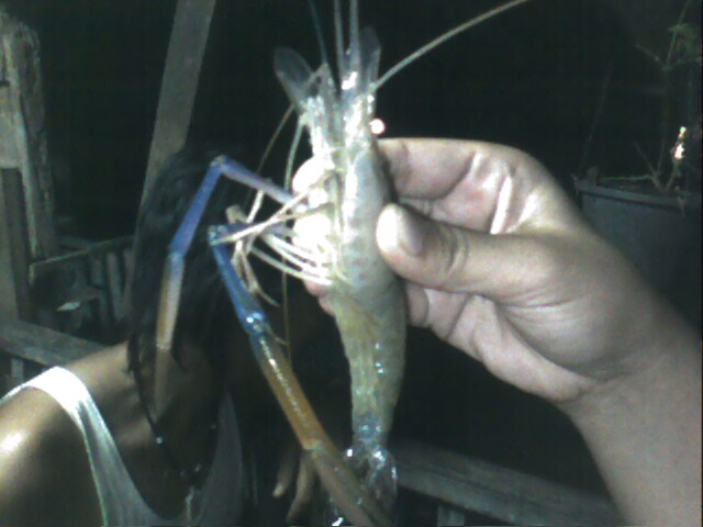 เบียร์ เย็นๆ+ลมพัดเย็นๆ+น้องกุ้ง