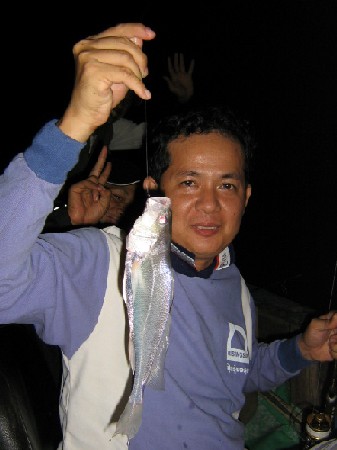 ปลาบางขนาก ไม่มากแต่ยังพอมีตัว