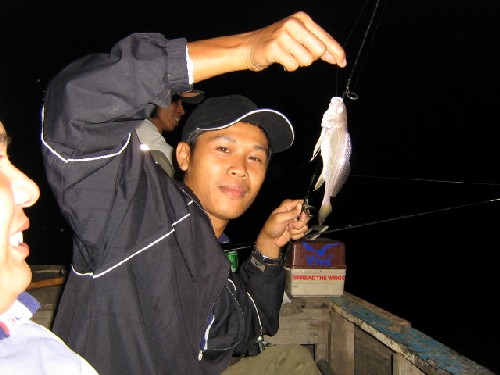 ปลาบางขนาก ไม่มากแต่ยังพอมีตัว