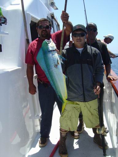 1st. dorado สวยมากๆ ต่อ