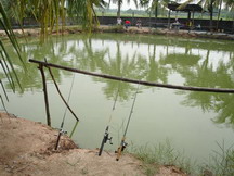 บ่อตกปลา 5 บาท
