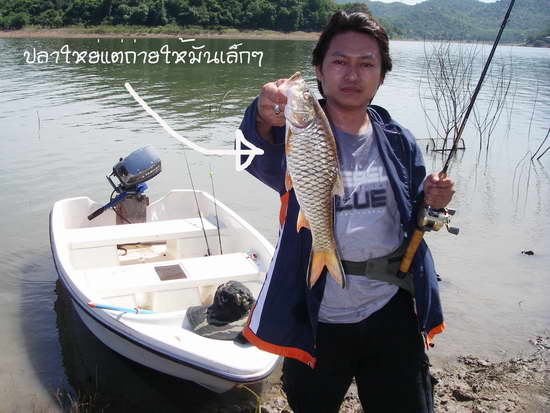 ตีทั้งวัน