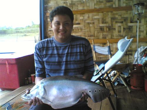 ปลาช่อนงูเห่า by fishingway team