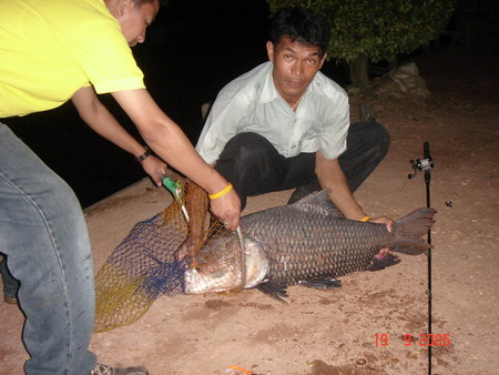 กระโห้ บ่อสนมเอก