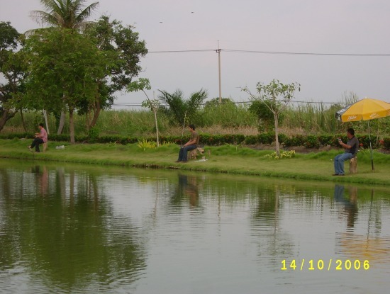 บุษราคัมฮาเฮทุกเสาร์