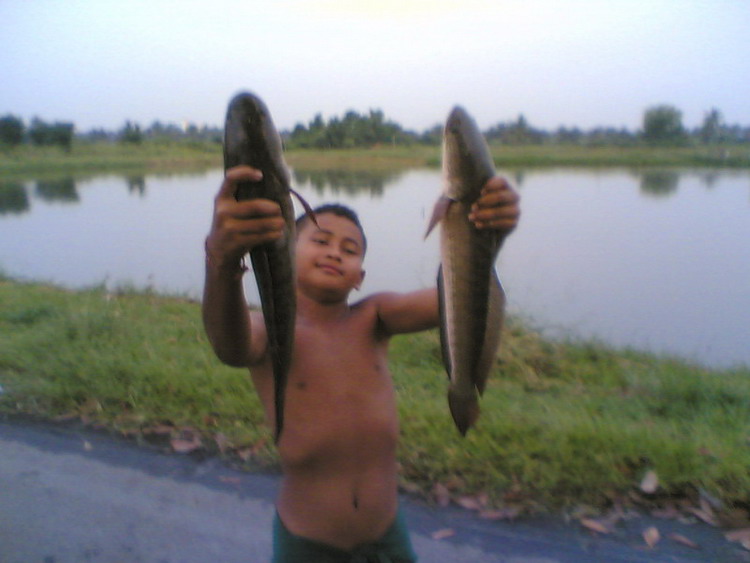 บ่อตกกุ้ง ภาค 4 ( น้ำ เต็ม บ่อ )