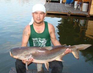 บึงสำราญปรับปรุงใหม่