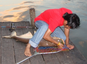 บึงสำราญปรับปรุงใหม่