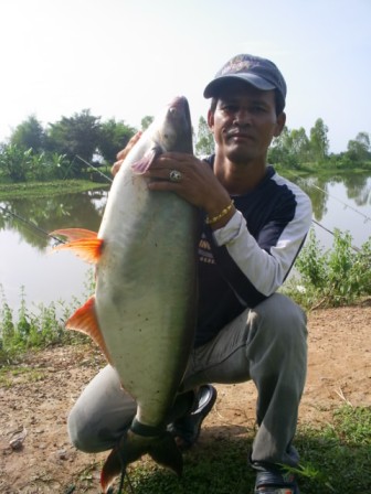 เทโพธรรมชาติ