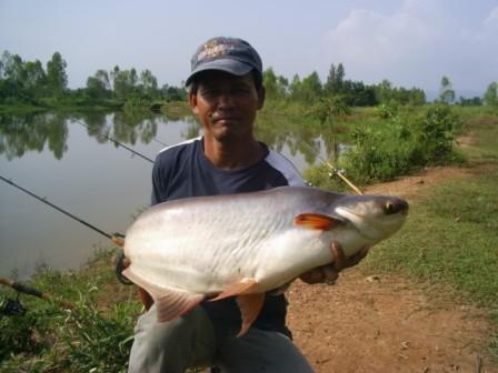 เทโพธรรมชาติ