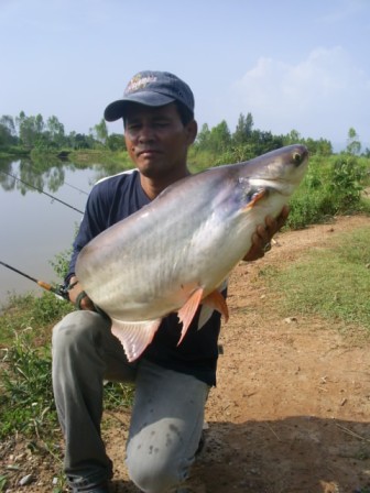 เทโพธรรมชาติ