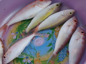 ทริพเล็กๆที่สัตหีบกับเรือลุงเอิน