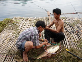 รวมภาพตกปลาที่ ลำแม่ ต้นน้ำเขื่อนศรี