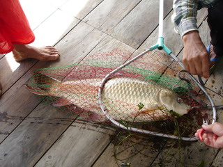 รวมภาพตกปลาที่ ลำแม่ ต้นน้ำเขื่อนศรี