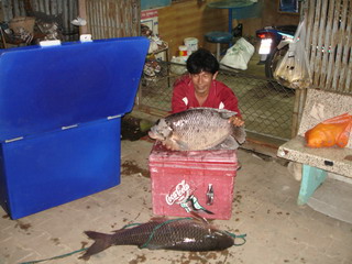 ทดสอบปลายฝนต้นหนาวที่แก่งกระจาน 9 -11 พ.ย.49