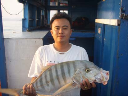 ตะคองเหลืองที่บางเสร่
