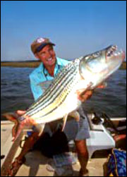 Tiger Fish