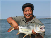 Tiger Fish