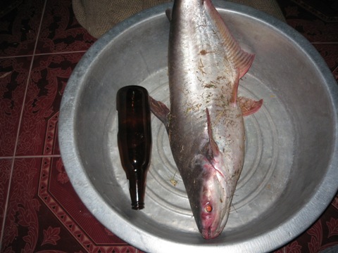 นครพนม/ศรีนวล