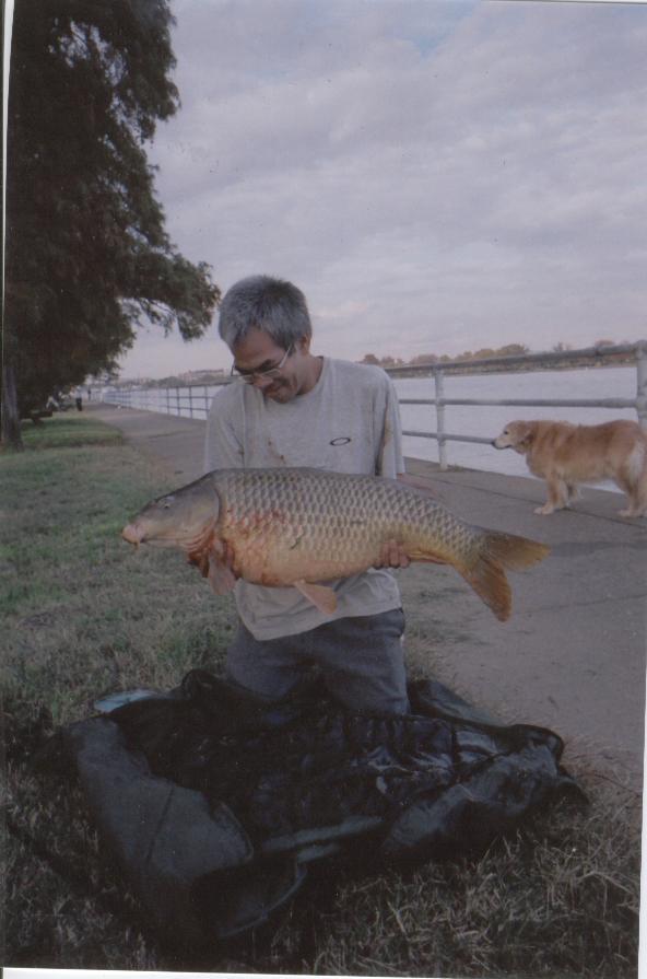 washington dc carp..