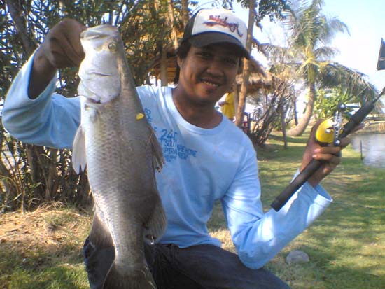 กระพง..by..บุษราคัม
