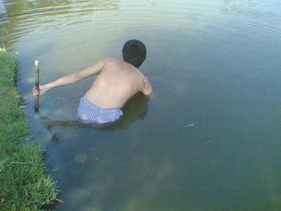 กระพง..by..บุษราคัม