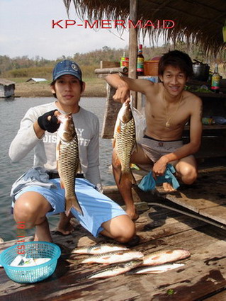 เปิดตัวแพkp mermaid ไปทะเลมาด้วย