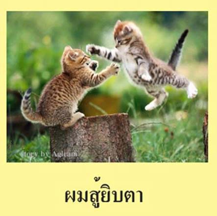 ขามเปียกคลุกสากทอด