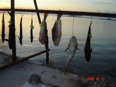 งานแข่งตกปลาที่ตราด ททท. 9-11ธค.49