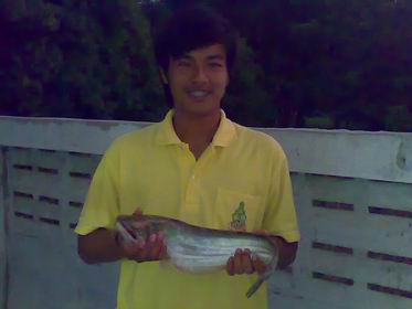 เค้าตัวน้อย แห่งน้ำยม